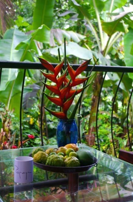 Papayas Self Catering Room Victoria Ngoại thất bức ảnh